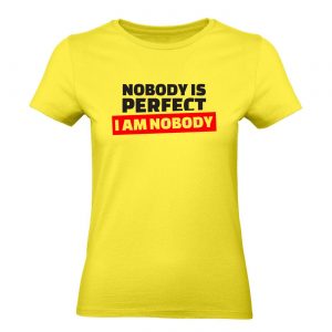 Nobody is perfect, i am nobody